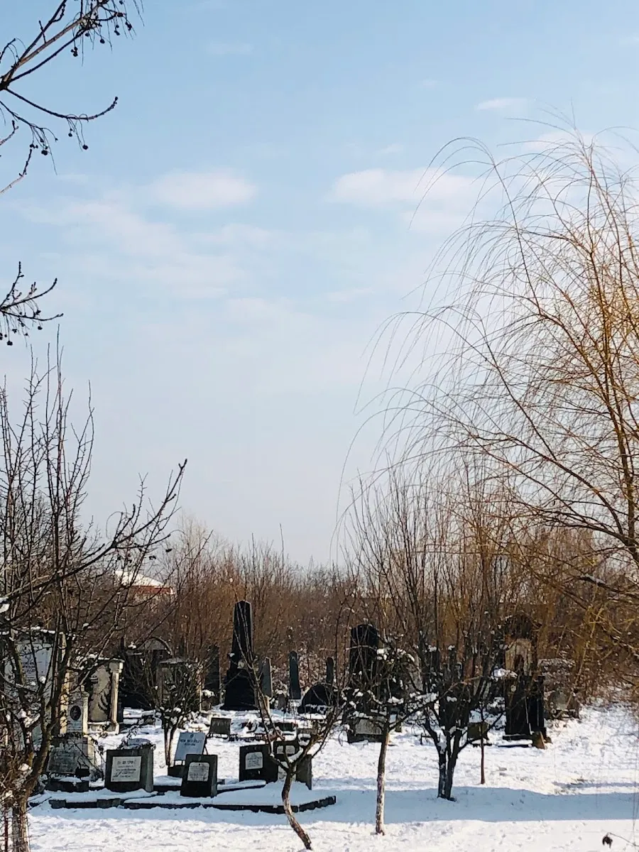 Cementerio judío de Craiova — foto 4