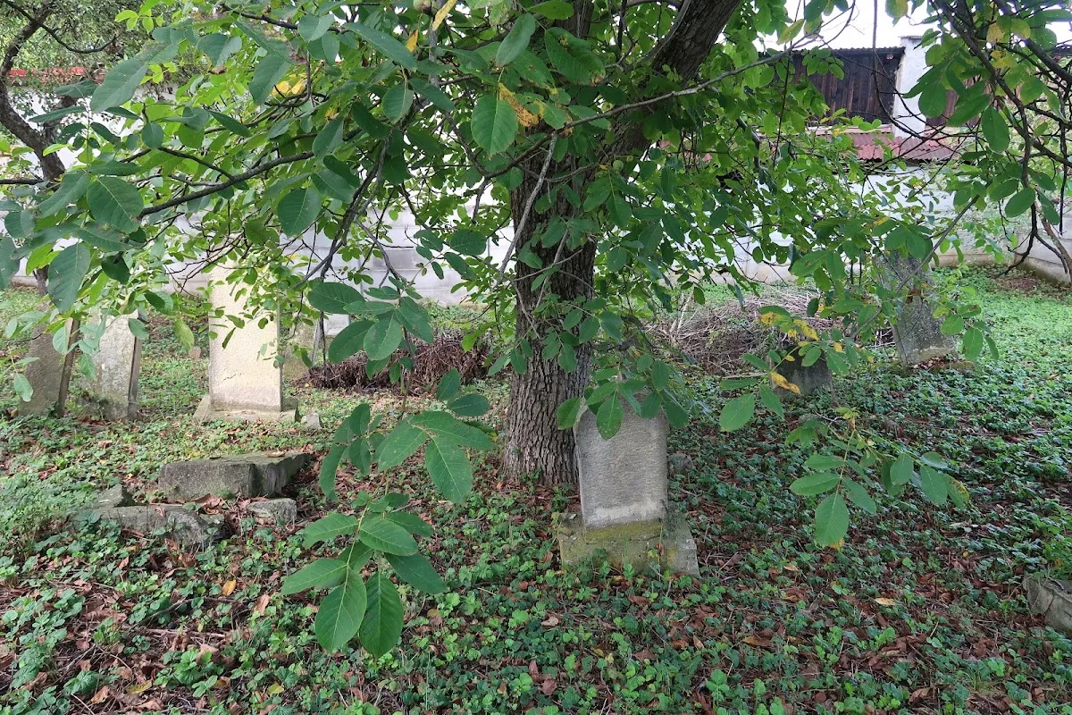 Cementerio judío de Dej — photo 10