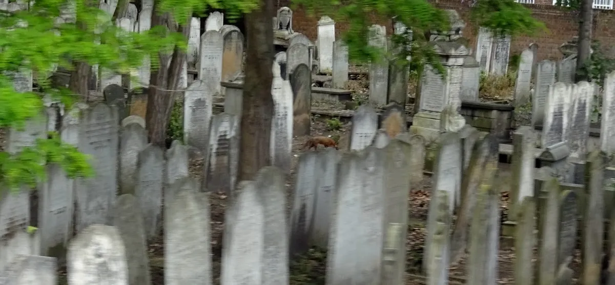 Cementerio judío de Fulham Road — foto 5