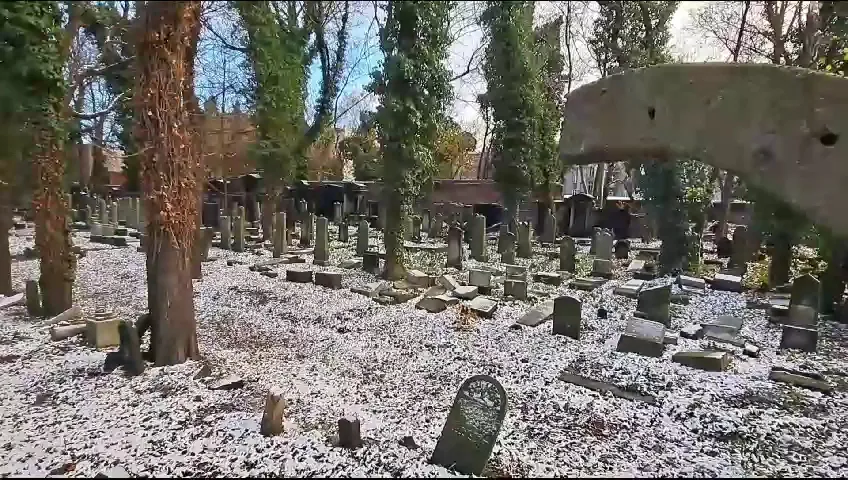 Cementerio judío de Katowice — photo 3