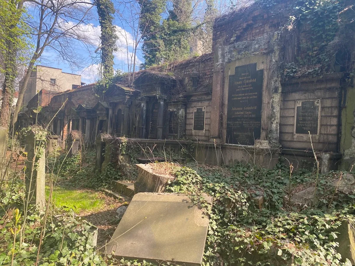 Cementerio judío de Katowice — photo 10
