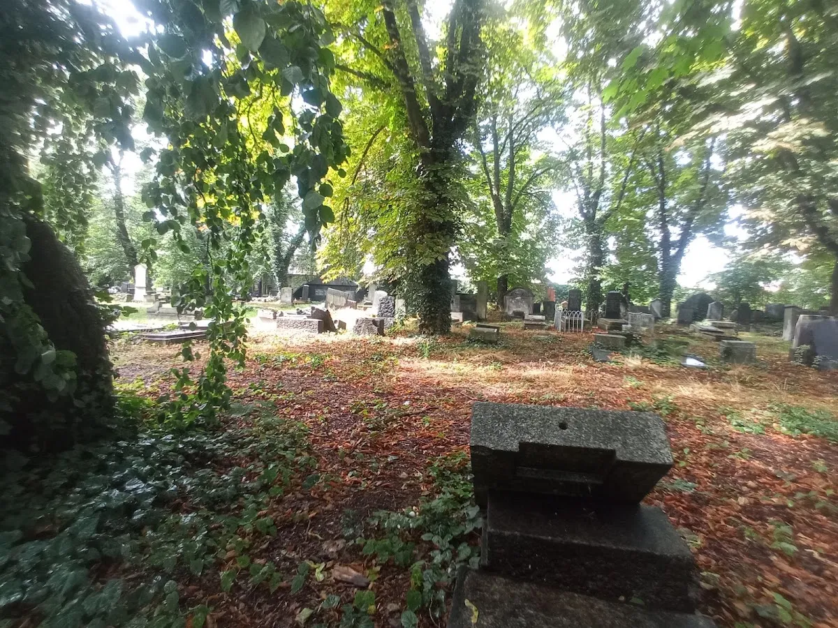 Cementerio judío de Legnica — foto 6