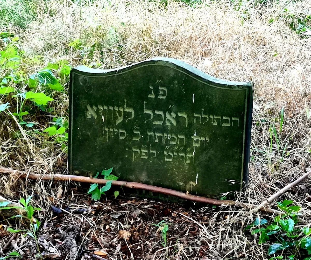 Cementerio judío de Legnica — foto 8