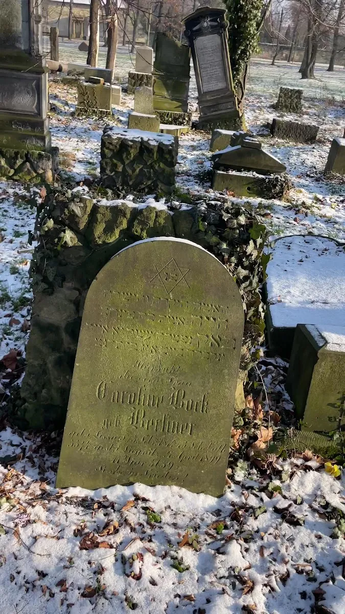 Cementerio judío de Legnica — foto 9