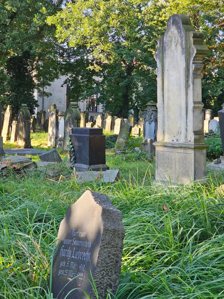 Cementerio judío de Legnica — foto 10
