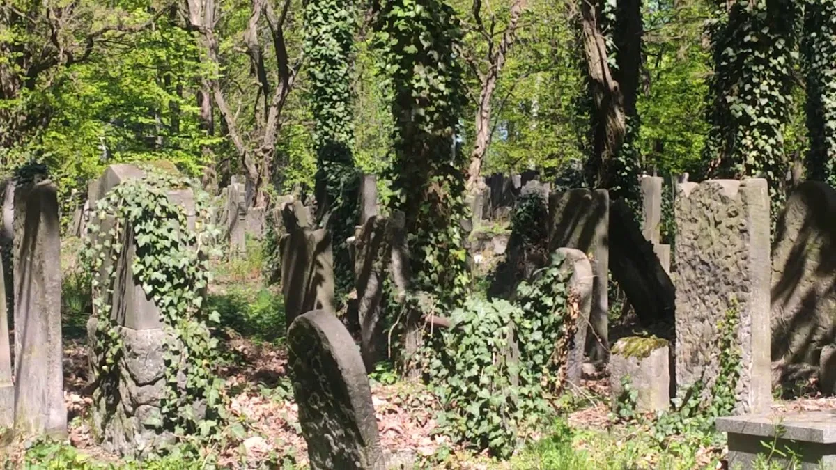 Cementerio judío de Łódź — foto 3