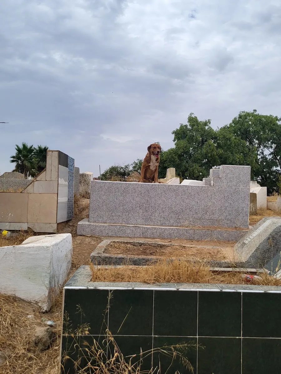 Cementerio Judío de Mequinez — foto 5