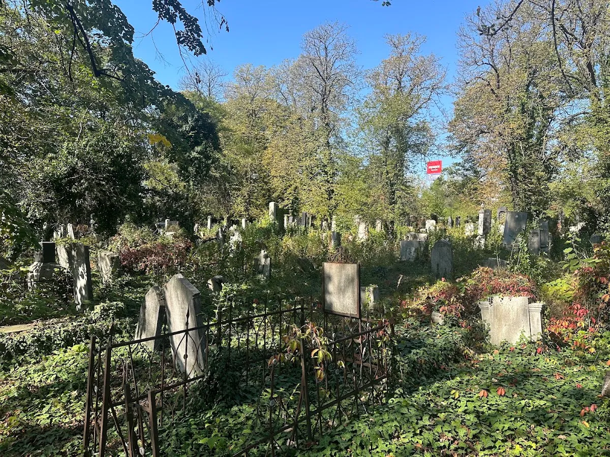 Cementerio judío de Ploiești — photo 7