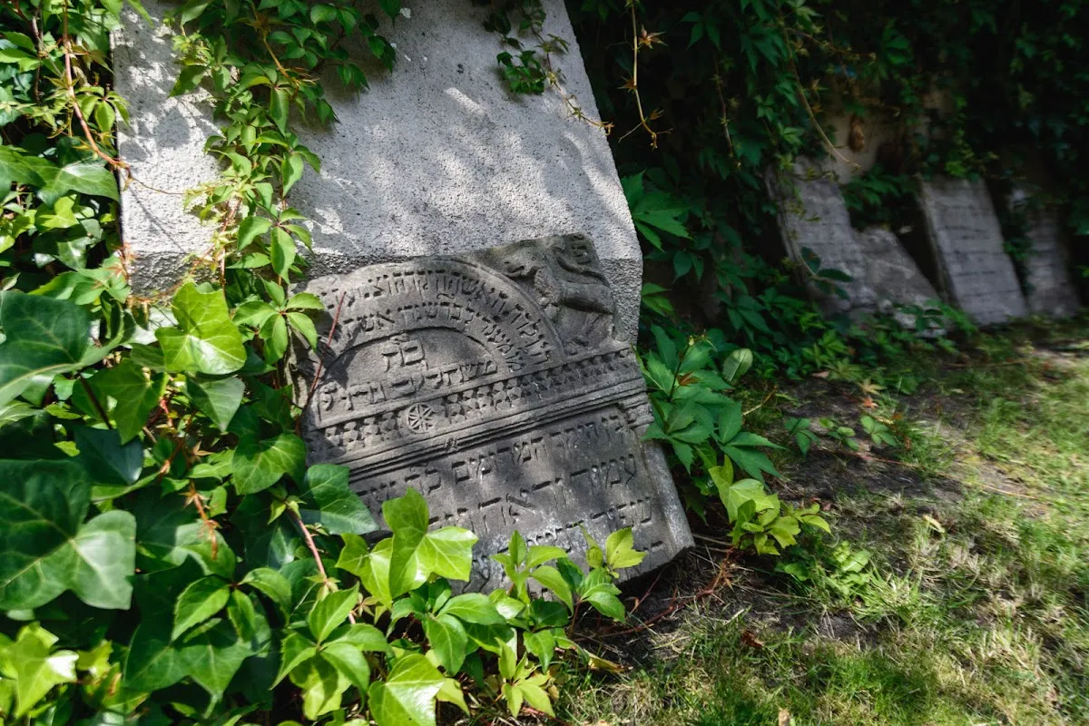 Cementerio judío de Poznań — photo 7
