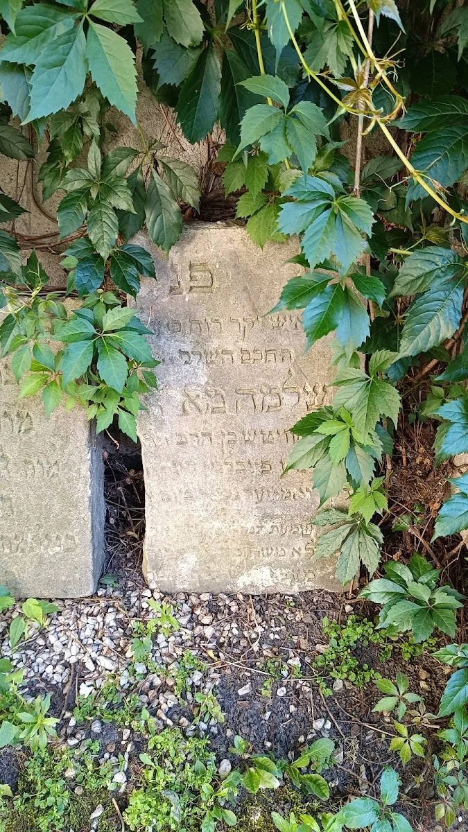 Cementerio judío de Poznań — photo 10
