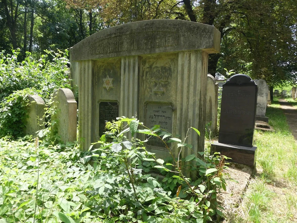 Cementerio judío de Rădăuți — photo 2