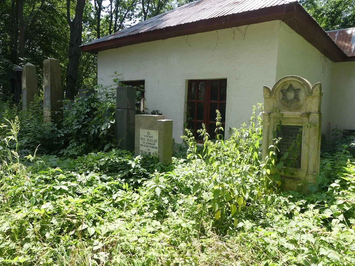 Cementerio judío de Rădăuți — photo 5
