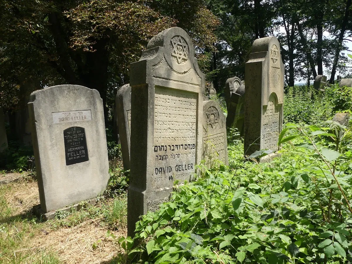 Cementerio judío de Rădăuți — photo 6