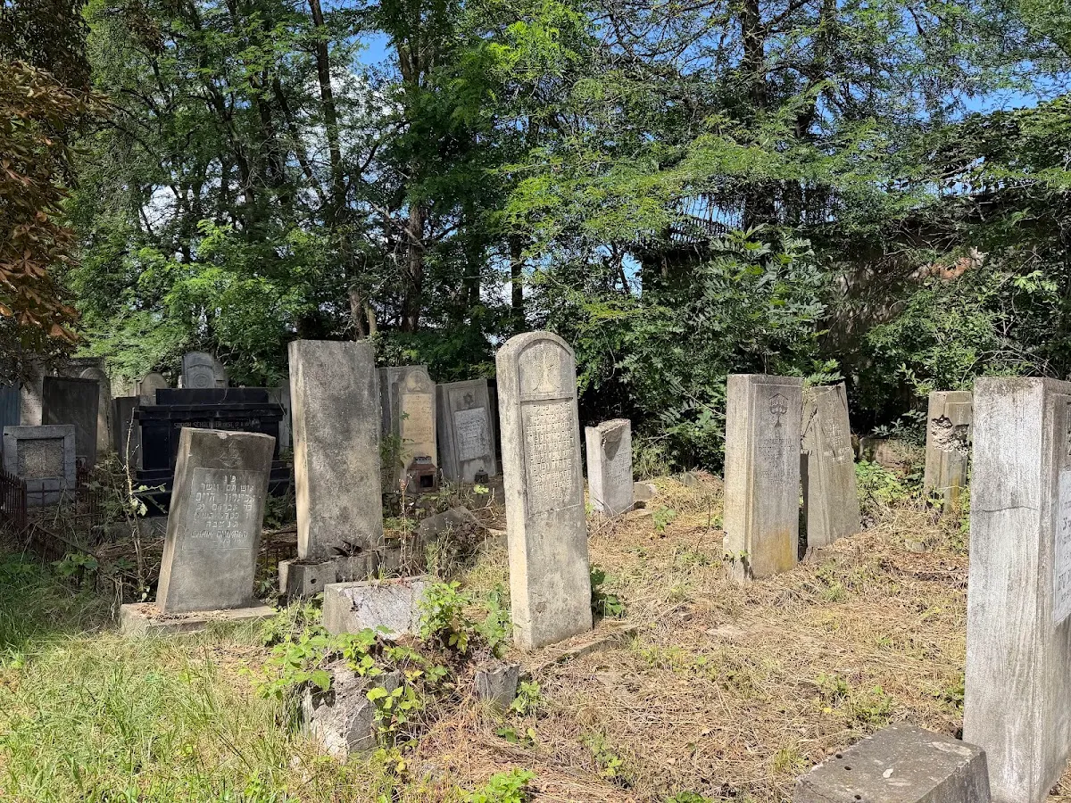 Cementerio judío de Rădăuți — photo 7