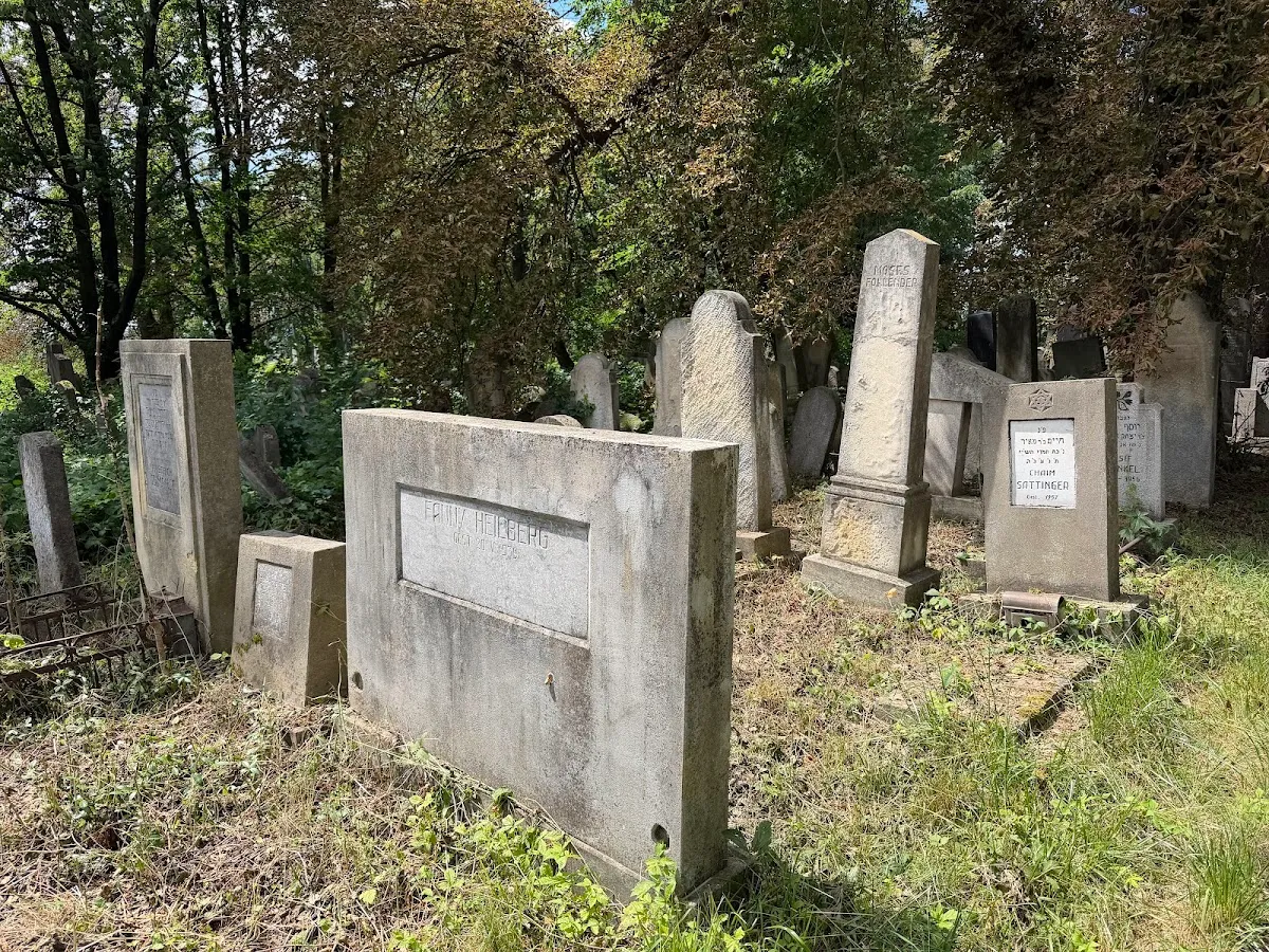 Cementerio judío de Rădăuți — photo 8