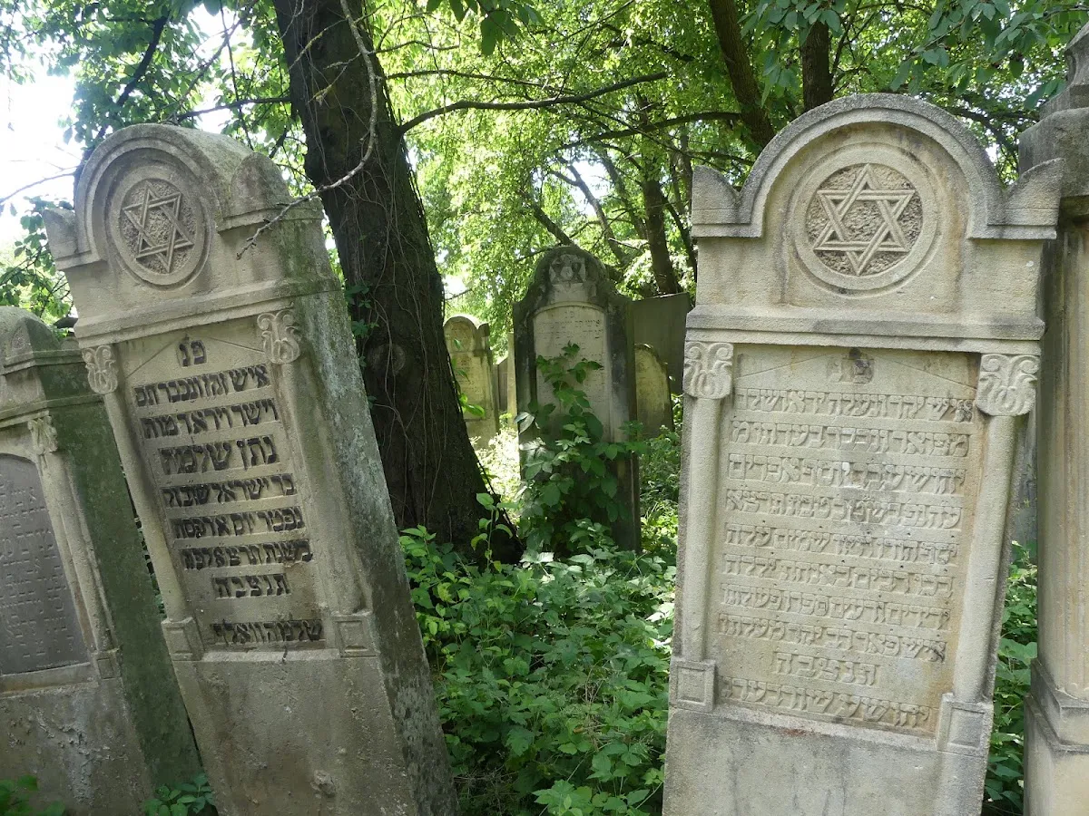 Cementerio judío de Rădăuți — photo 9