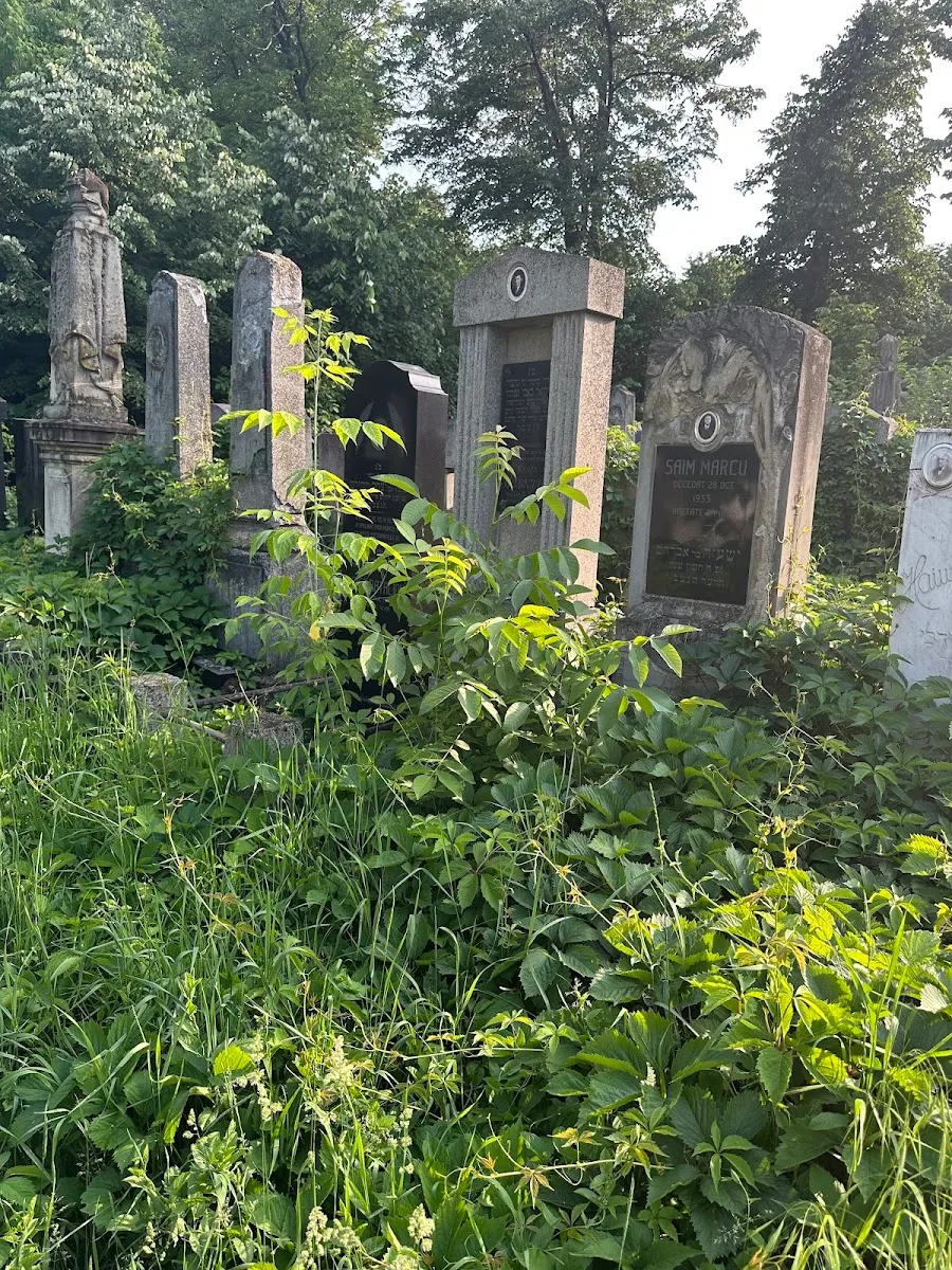 Cementerio judío de Roman — photo 5