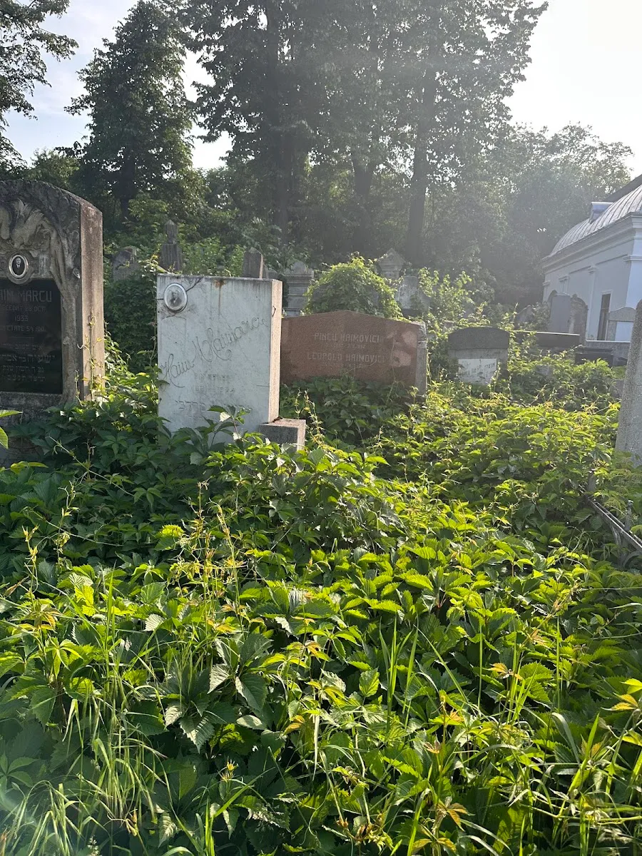 Cementerio judío de Roman — photo 10