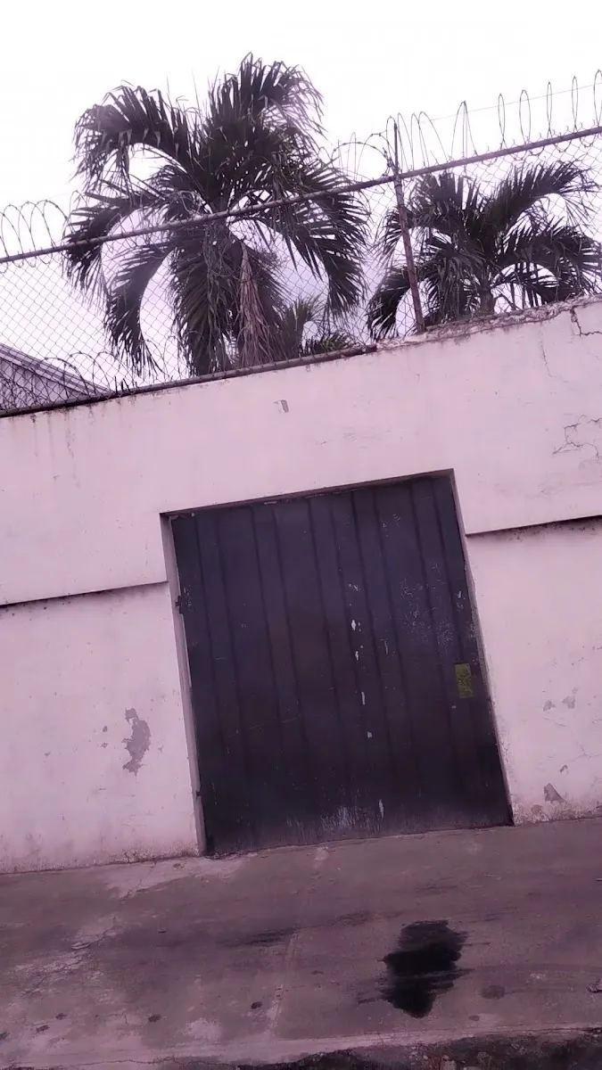 Cementerio Judío de Santo Domingo — foto 2