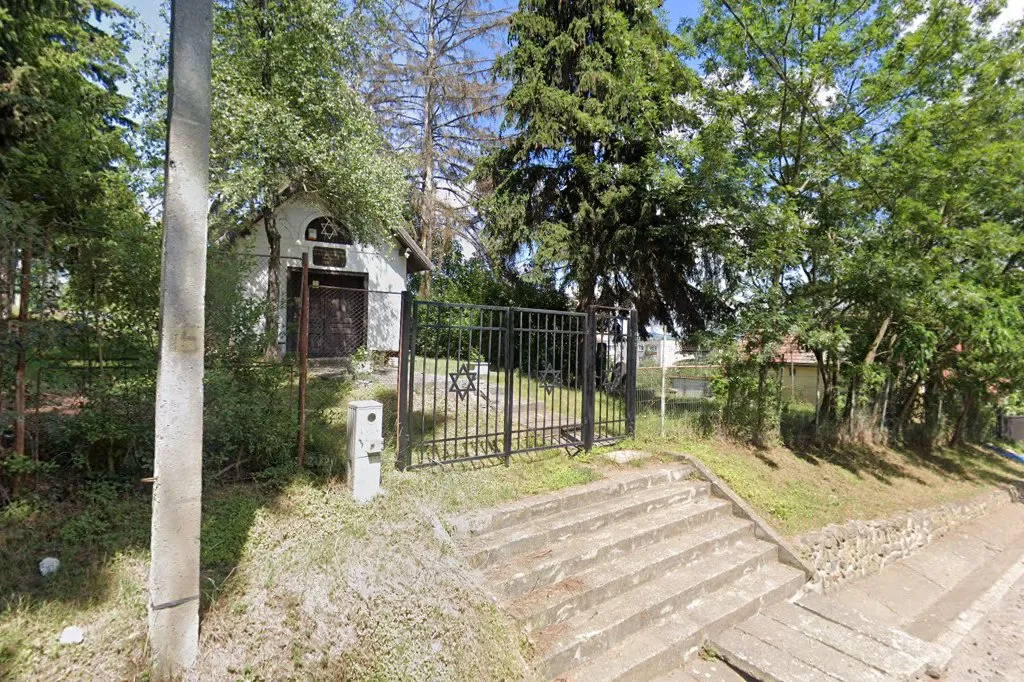 Cementerio judío de Sfântu Gheorghe — photo 2