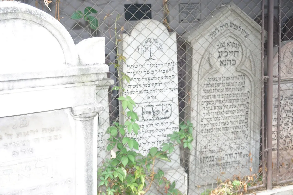 Cementerio judío de Sighetu Marmației — photo 5