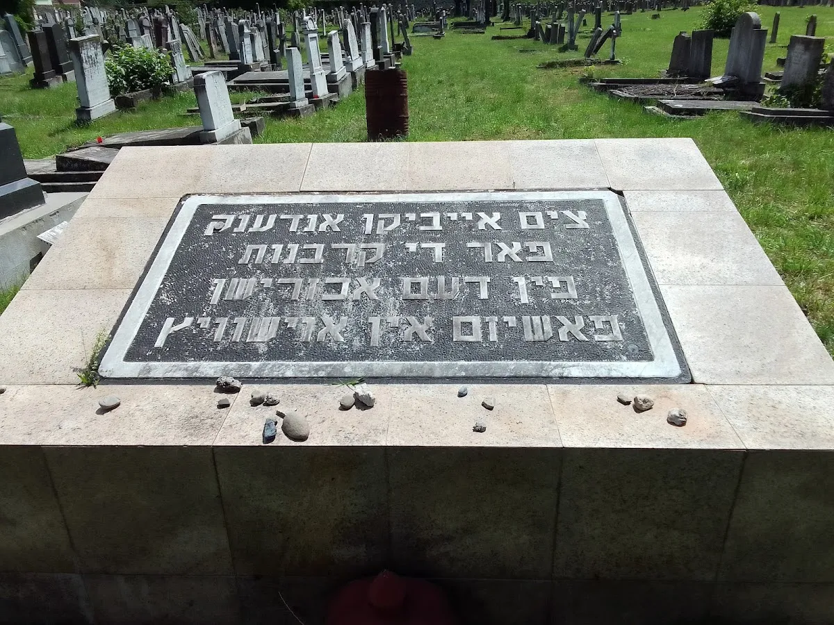 Cementerio judío de Sighetu Marmației — photo 7
