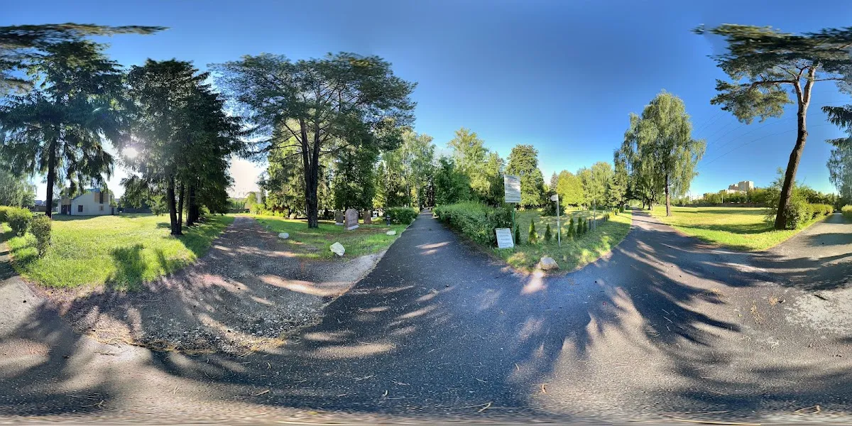 Cementerio Judío de Sudervė — foto 4