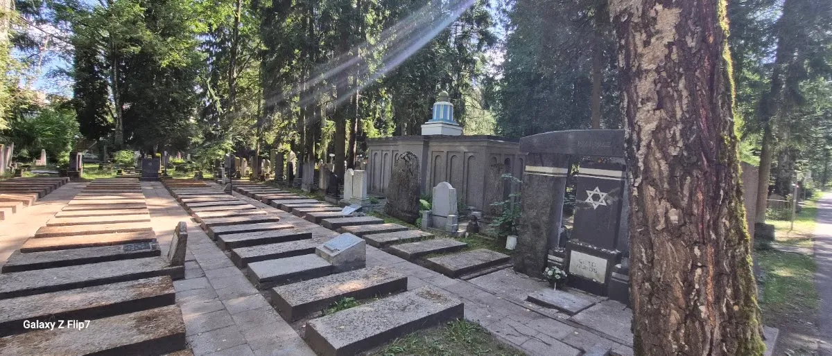 Cementerio Judío de Sudervė — foto 9
