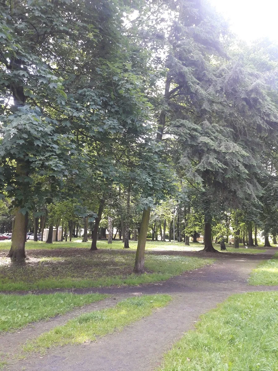 Cementerio judío de Szczecin — foto 2