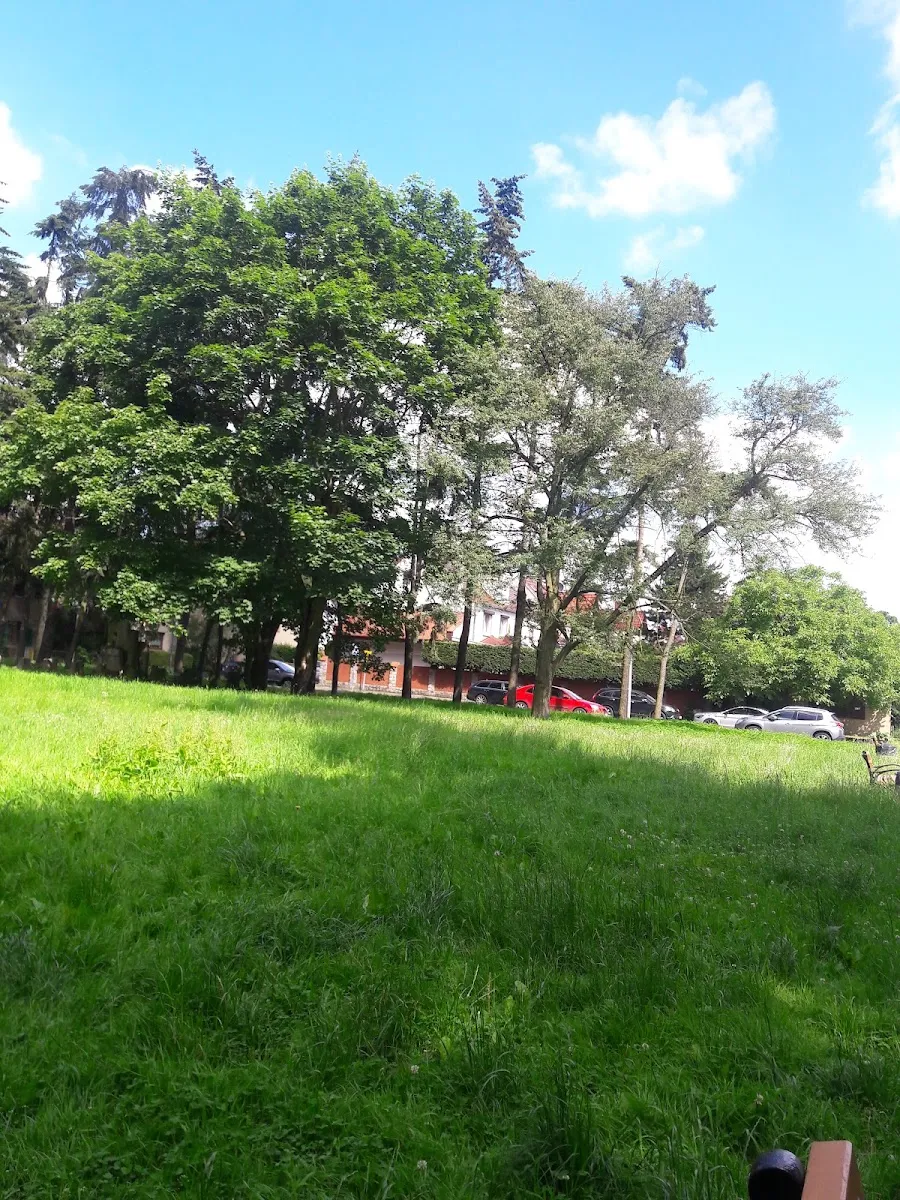 Cementerio judío de Szczecin — foto 3