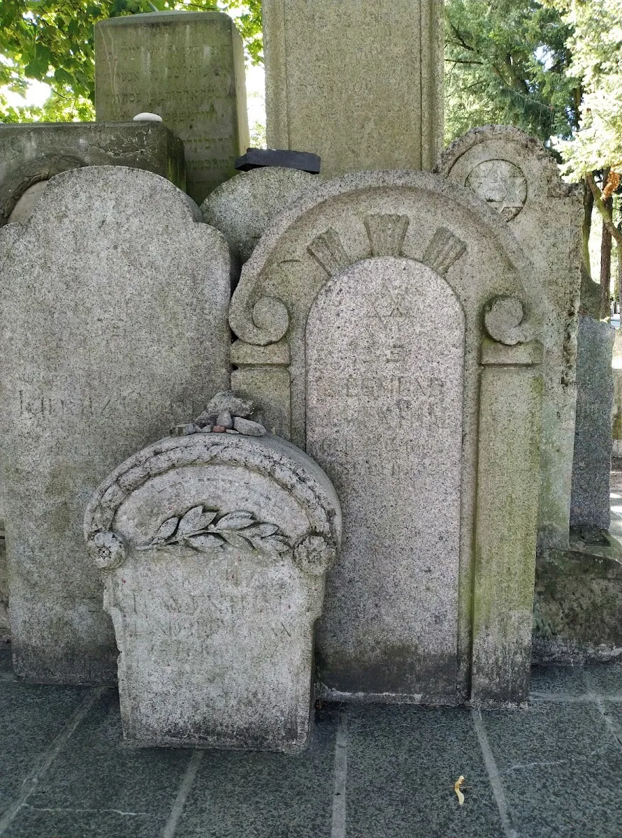 Cementerio judío de Szczecin — foto 7