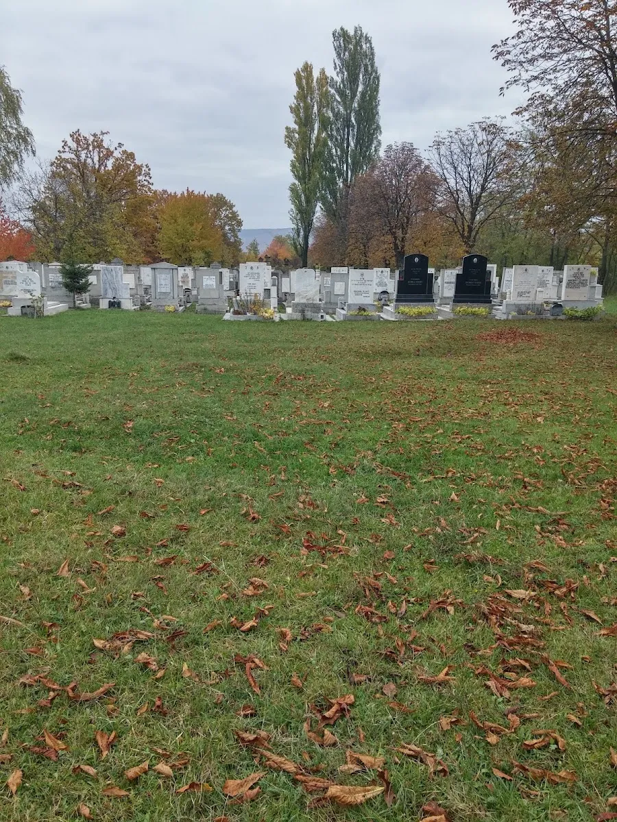 Cementerio judío de Târgu Neamț — photo 3