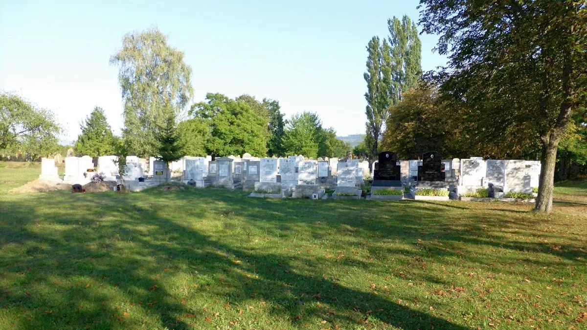 Cementerio judío de Târgu Neamț — photo 4