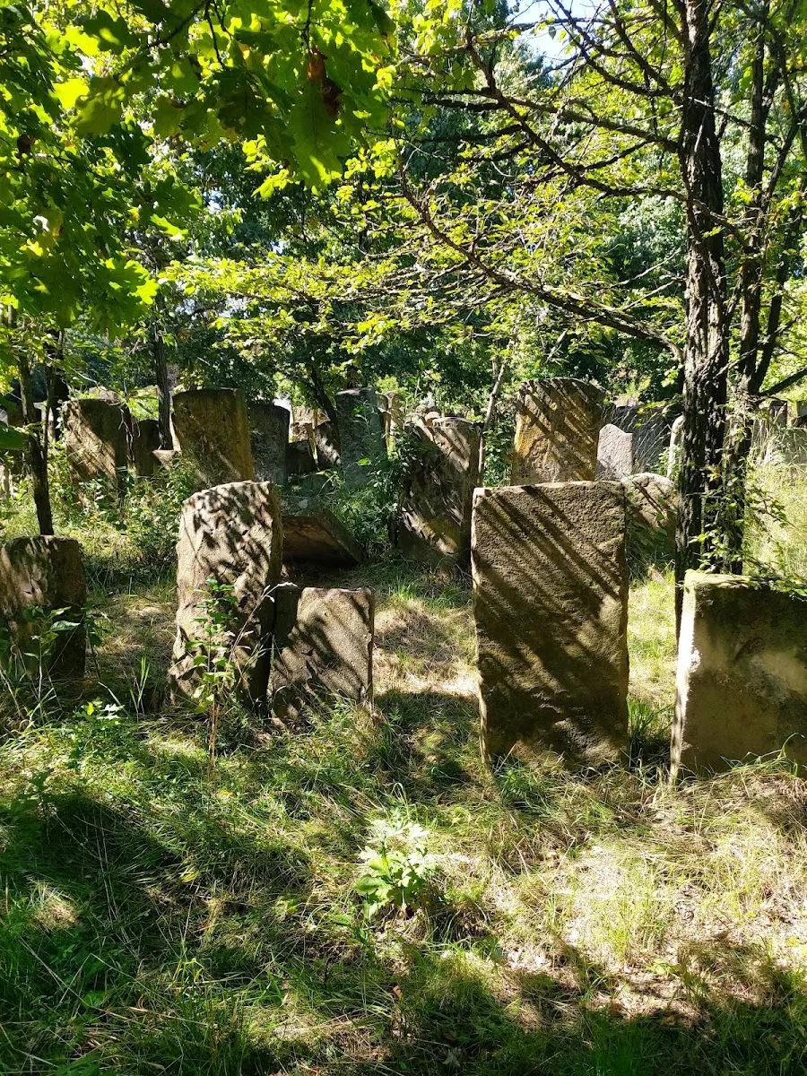 Cementerio judío de Târgu Neamț — photo 5