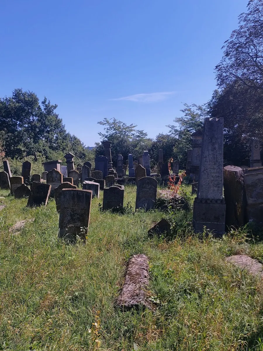 Cementerio judío de Târgu Neamț — photo 7