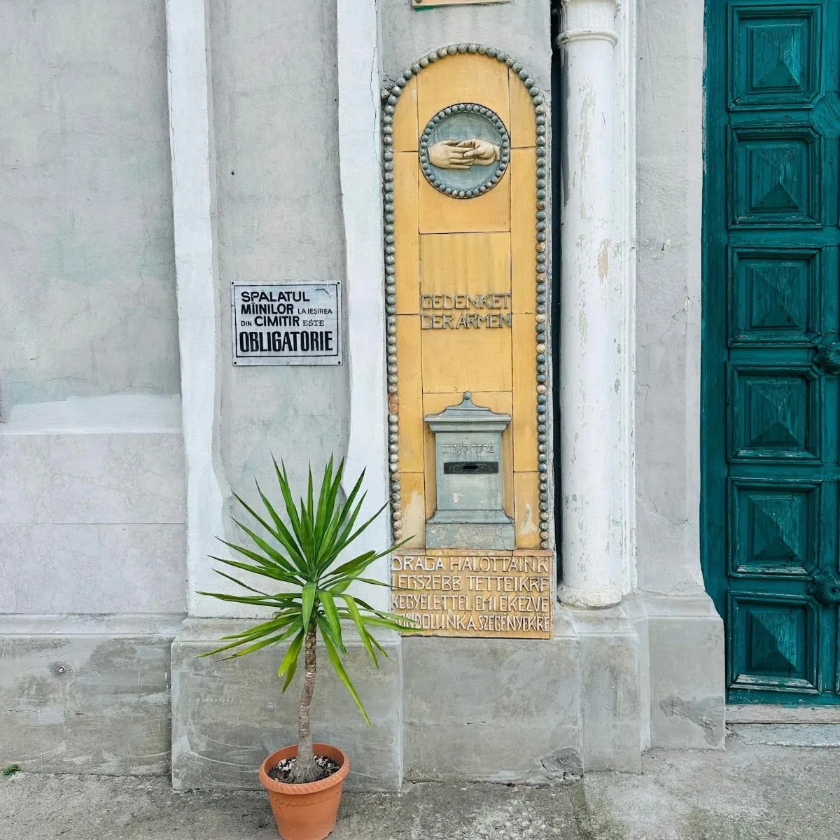 Cementerio judío de Timișoara — photo 3