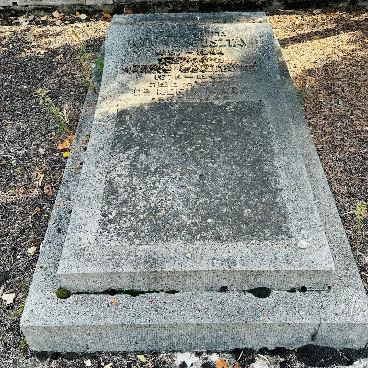 Cementerio judío de Timișoara — photo 5