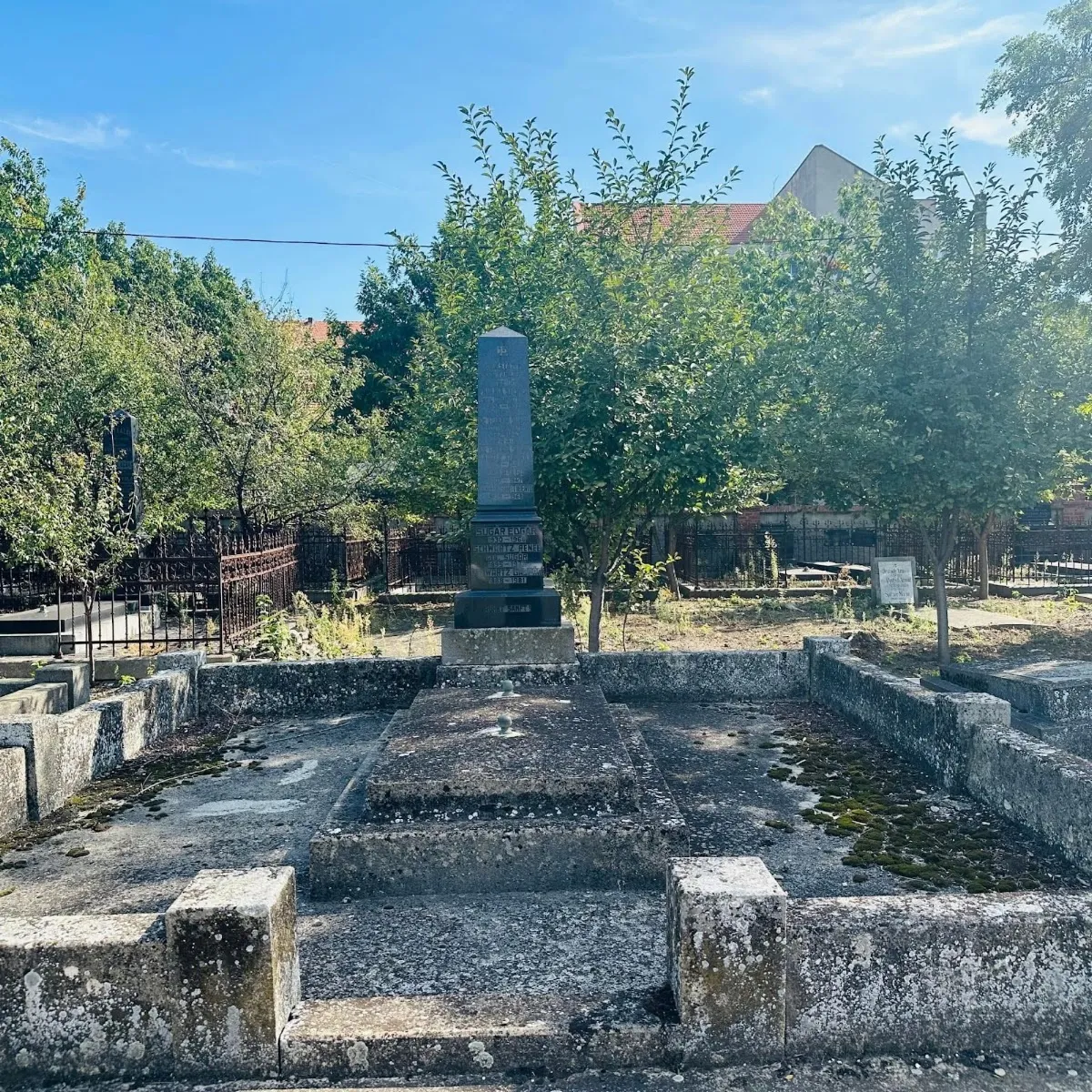 Cementerio judío de Timișoara — photo 6