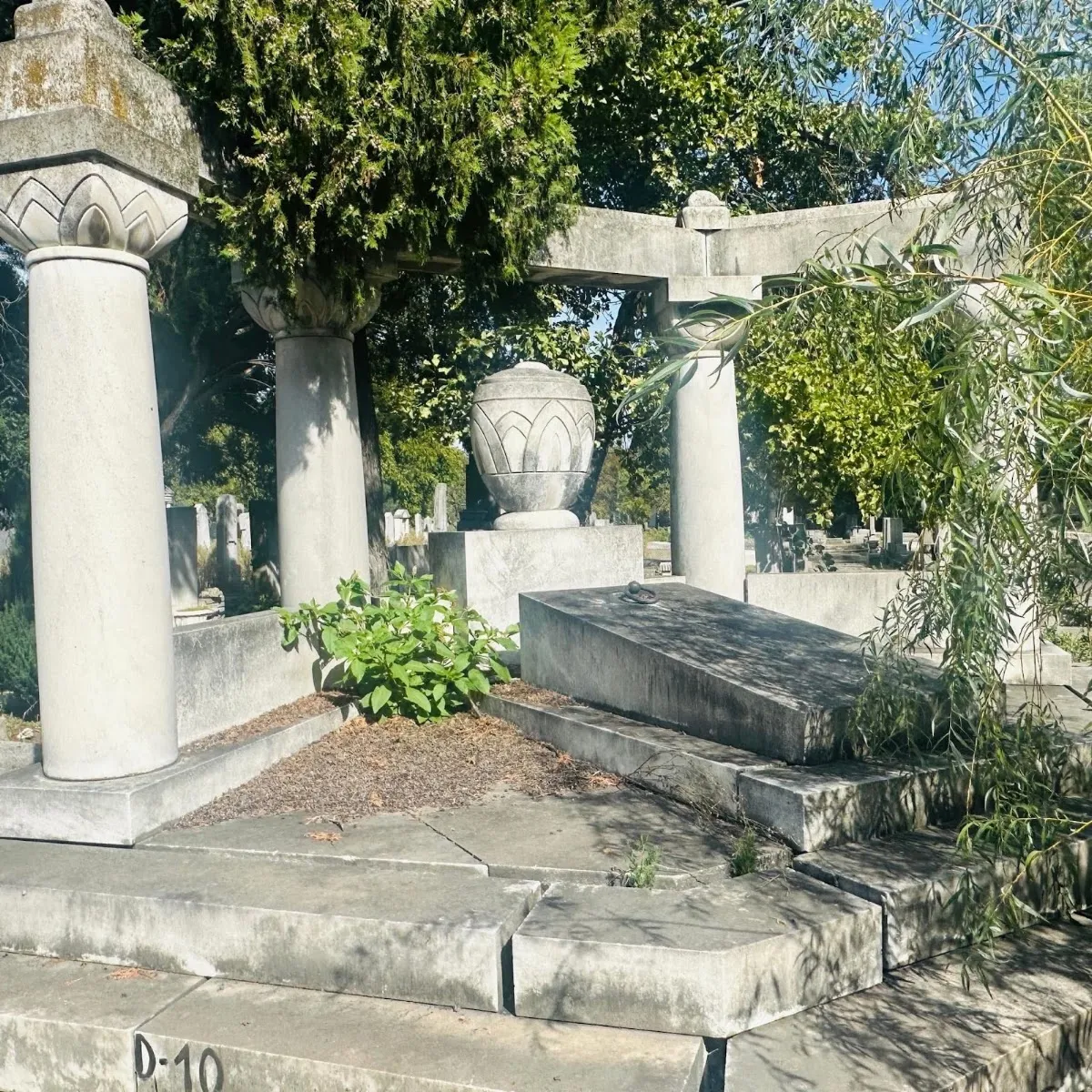 Cementerio judío de Timișoara — photo 8