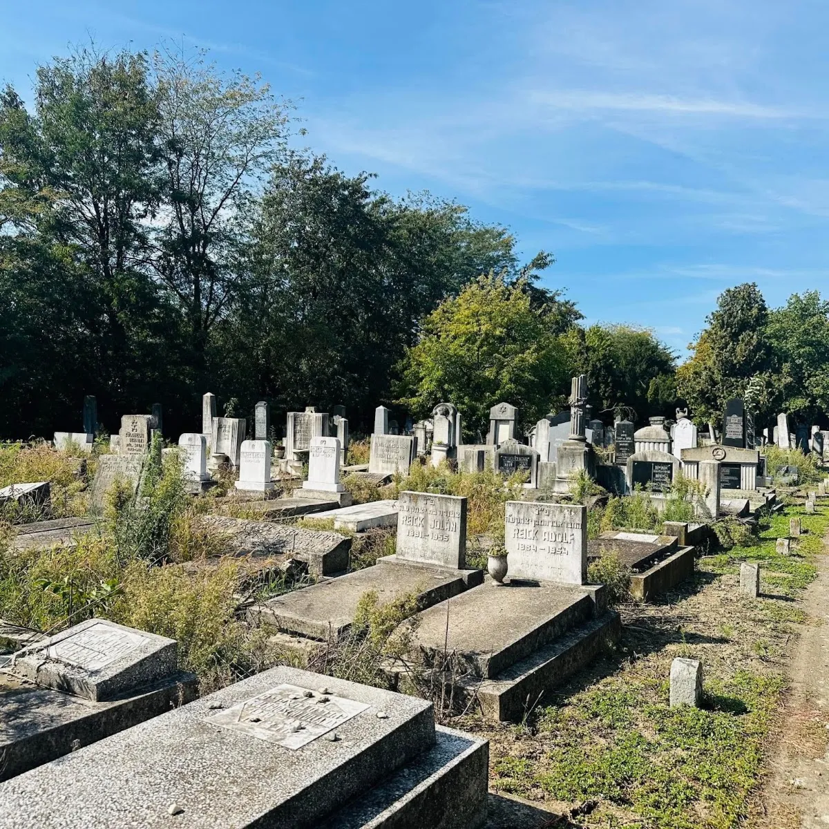 Cementerio judío de Timișoara — photo 9