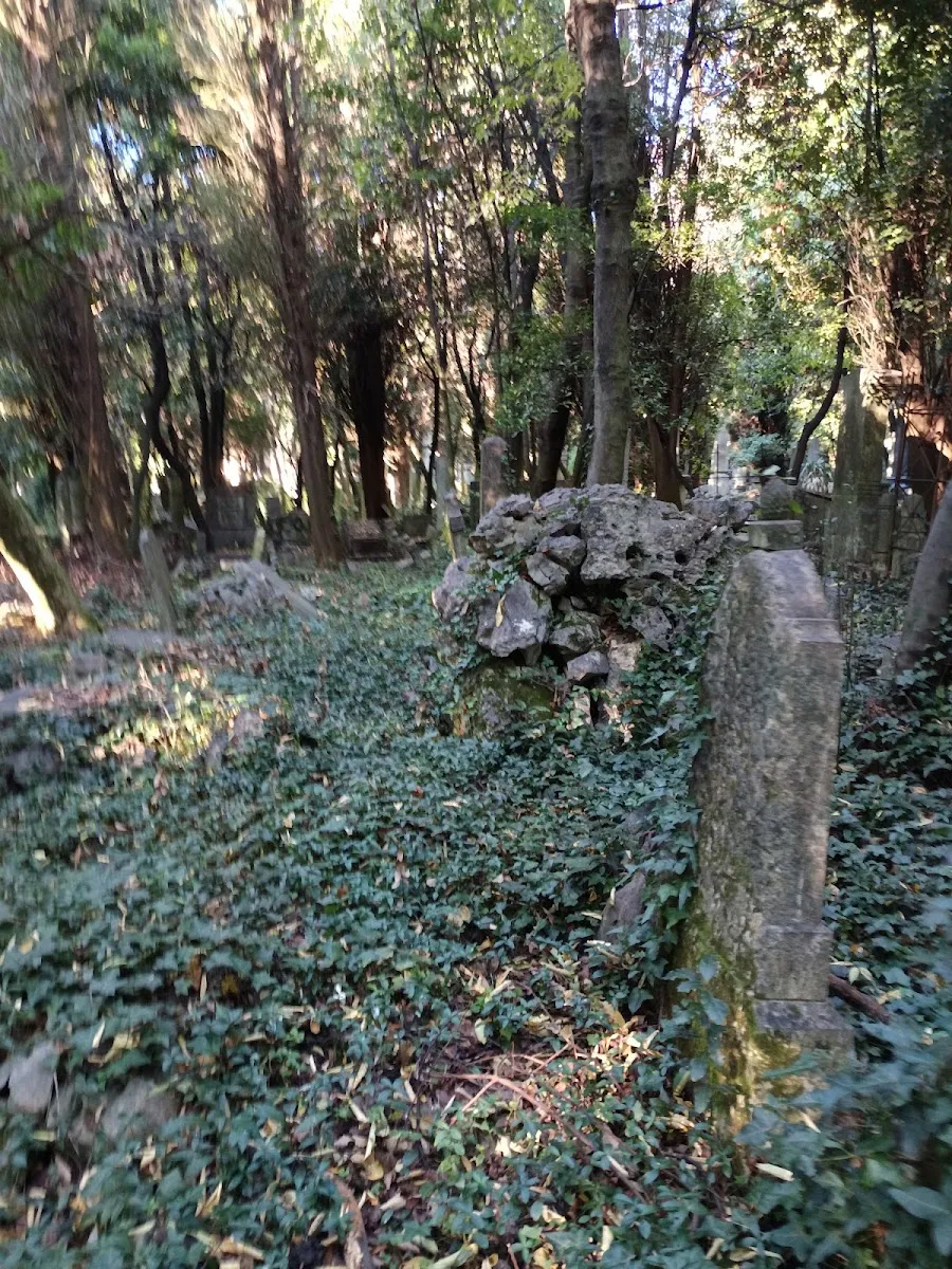 Cementerio Judío de Trieste — foto 6