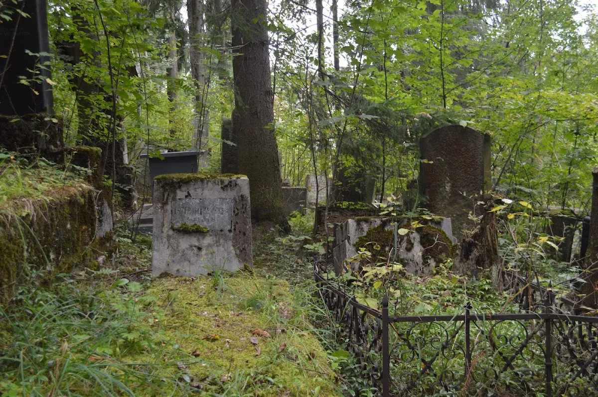 Cementerio judío de Vatra Dornei — photo 2