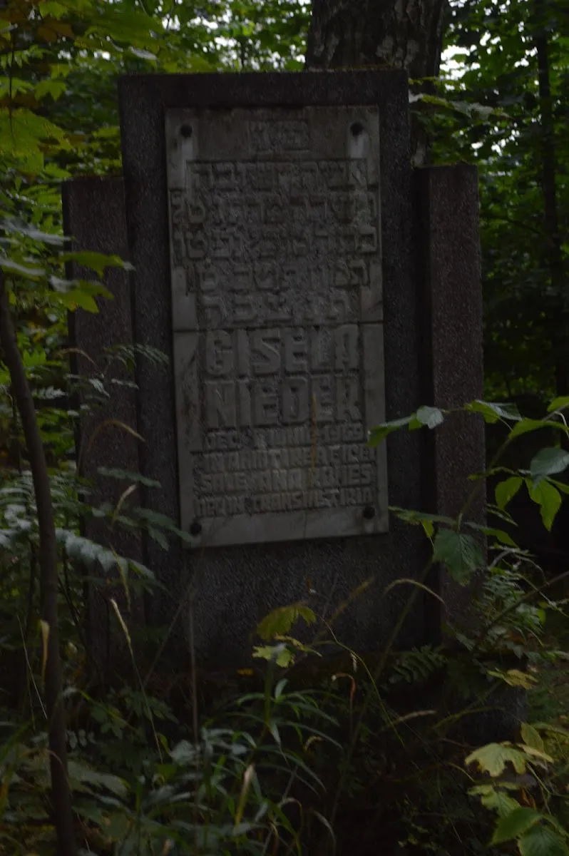 Cementerio judío de Vatra Dornei — photo 5