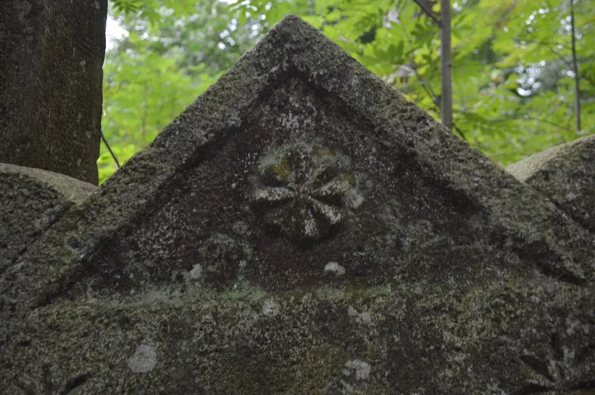 Cementerio judío de Vatra Dornei — photo 6