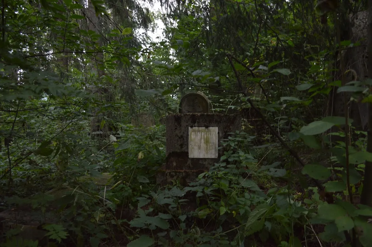 Cementerio judío de Vatra Dornei — photo 7