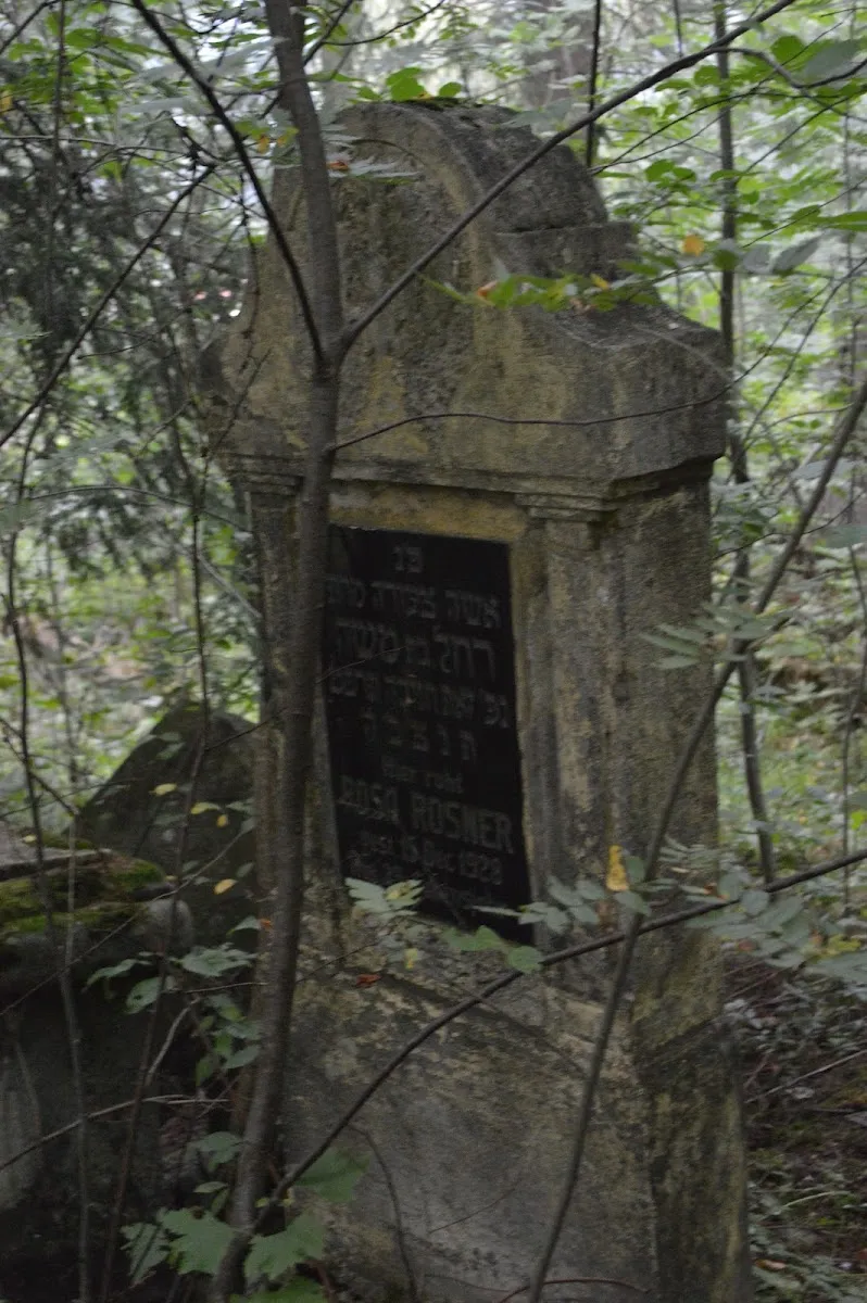 Cementerio judío de Vatra Dornei — photo 8
