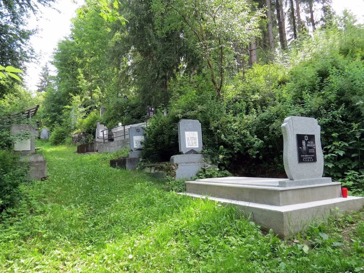 Cementerio judío de Vatra Dornei — photo 10