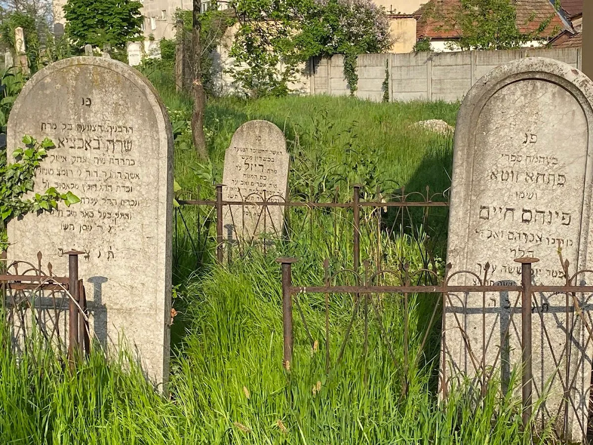 Cementerio judío de Velenta — photo 5