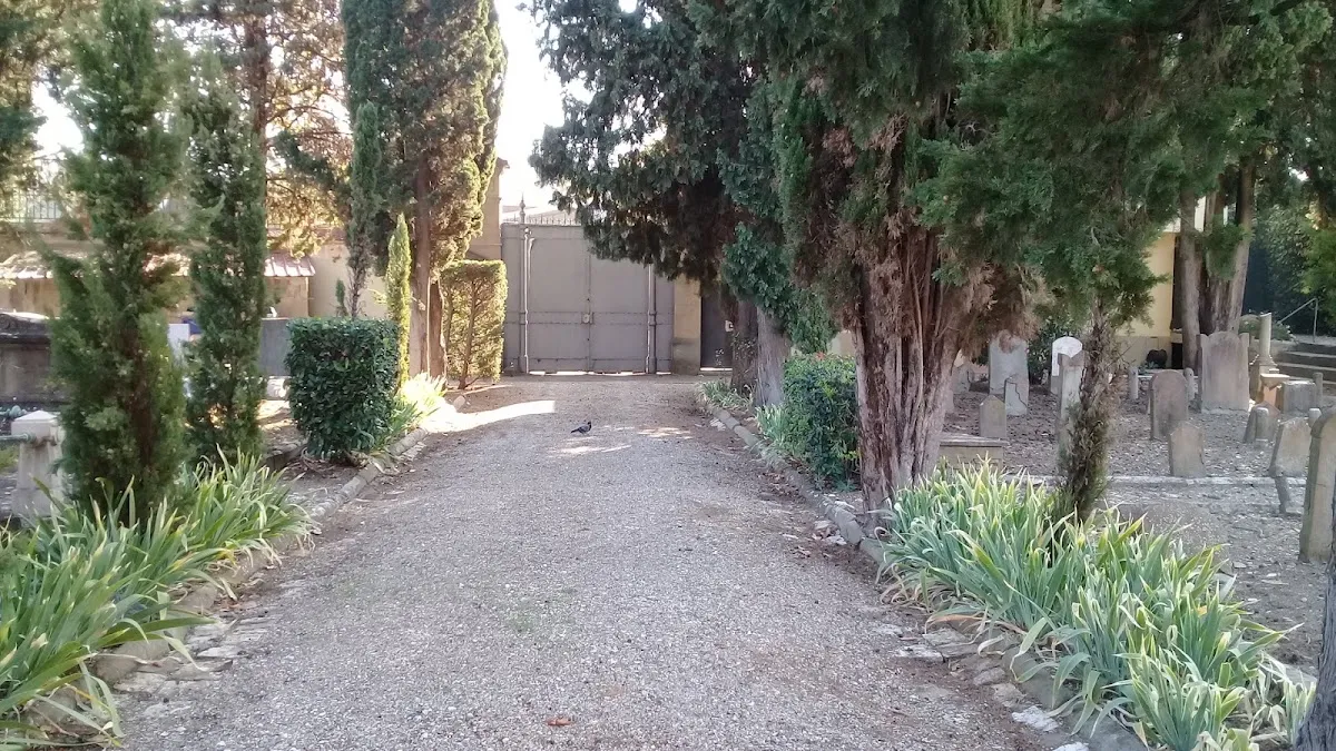 Cementerio Judío de via di Caciolle — photo 8