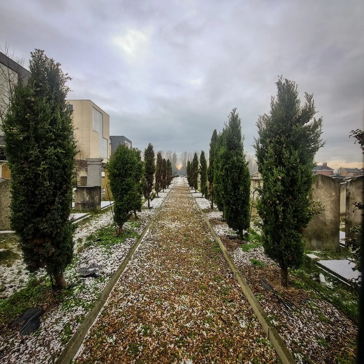 Cementerio judío de Willesden — foto 9